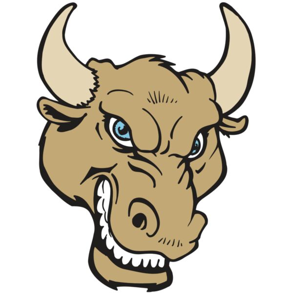 AR5 BULL 13 RQC Thumbnail